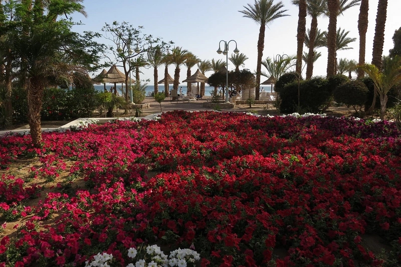 Eilat Israel